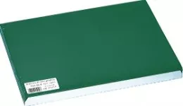 Set de table 30x40cm Vert sapin COLOR (13B01)